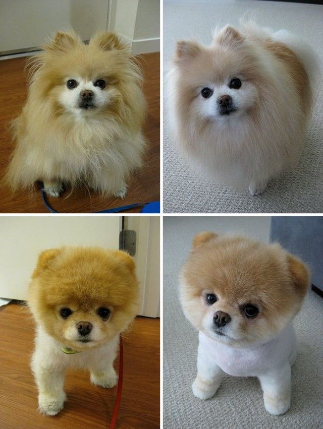 beforeafter14_e