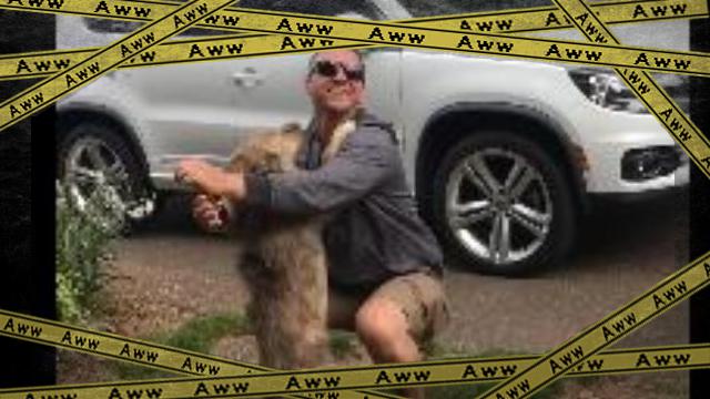 dog-f [www-frame