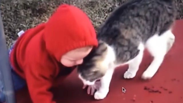 funnyanimalsnkids5_e