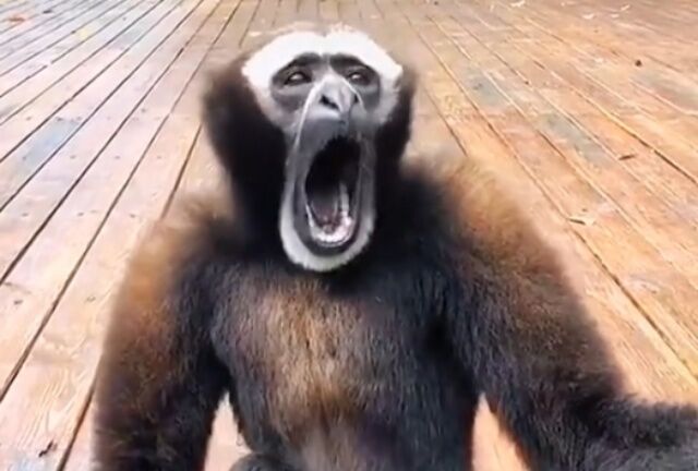 20220520_104021 (7)_batch