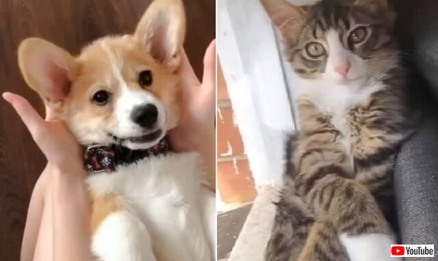 20220827_195305 (2)_batch