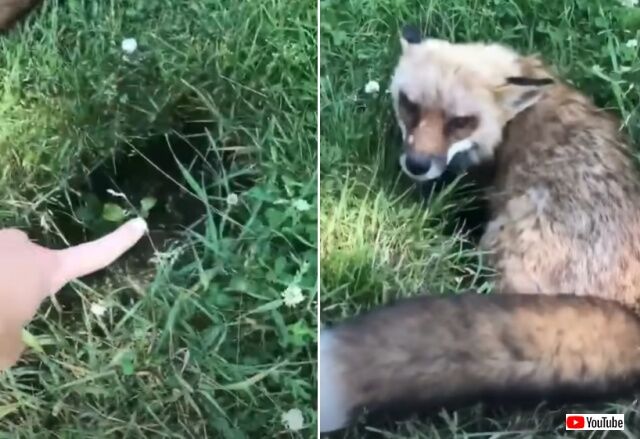 20220519_112645_batch