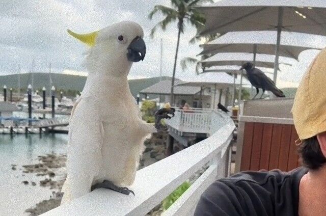 20240328_074639 (3)_e