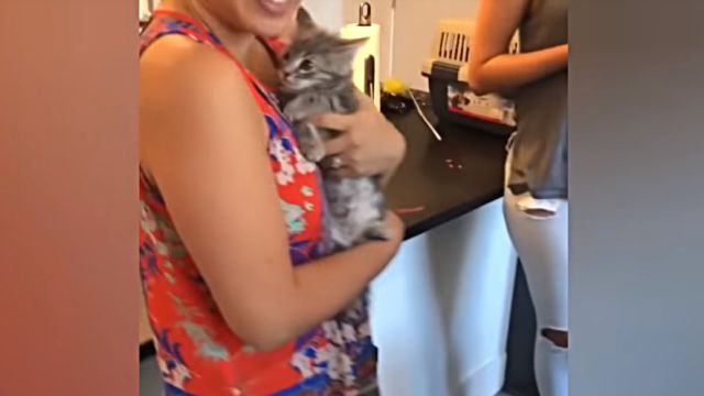 catndog4
