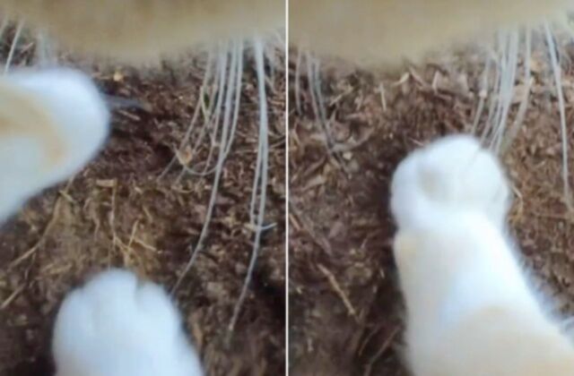 20240207_120301_batch