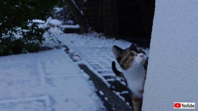 20231211_075435 (2)_batch