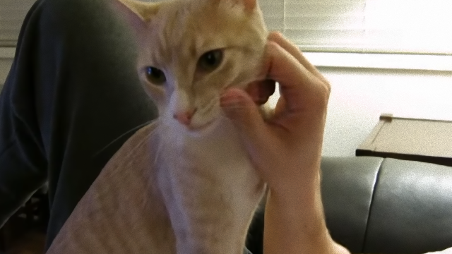 charlie-2_e