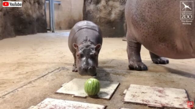 20230824_073453 (2)_batch