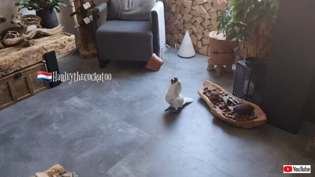 20220510_100850 (3)_batch