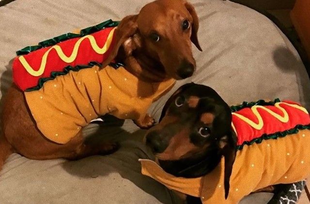 halloweenhotdogs0_e