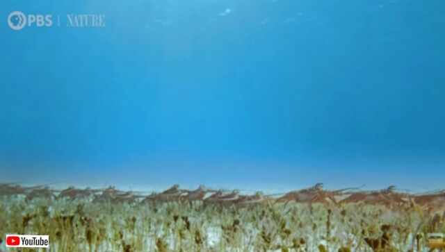 20231129_114839 (5)_batch