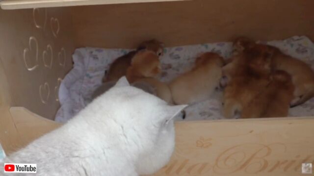 20230520_171417_batch