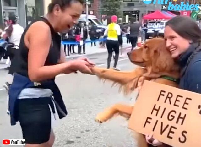 highfive2_640
