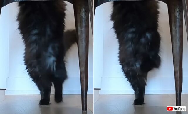 20220521_033723 (2)_batch