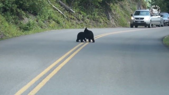 roadblocks6_e