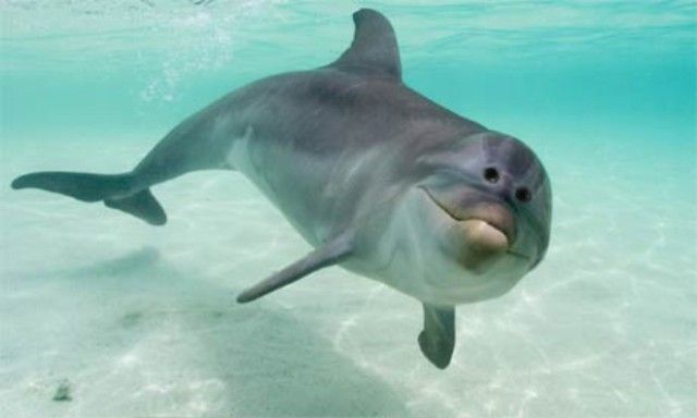 front-eyes10_e