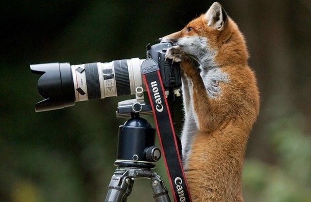 photographers14_e