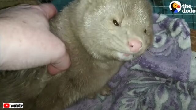 20220602_194226 (4)_batch