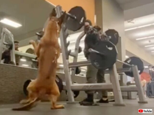 20230411_235651 (3)_batch