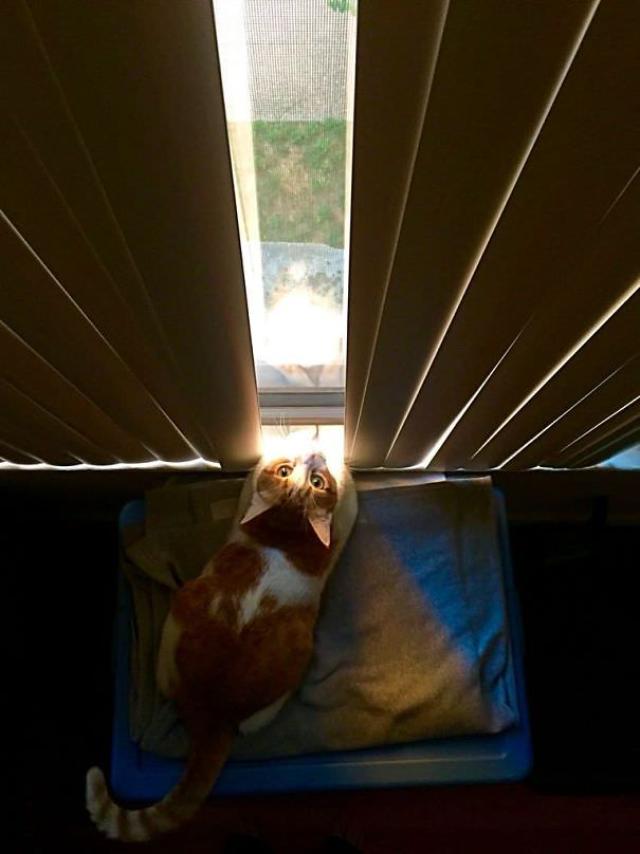 sun-6 [www.imagesplitter.net]