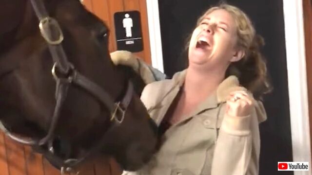 horse5_640