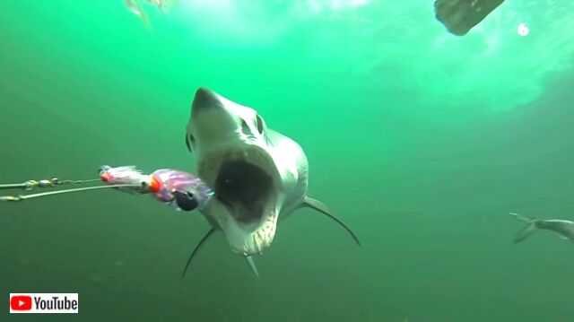 goprobests3_640