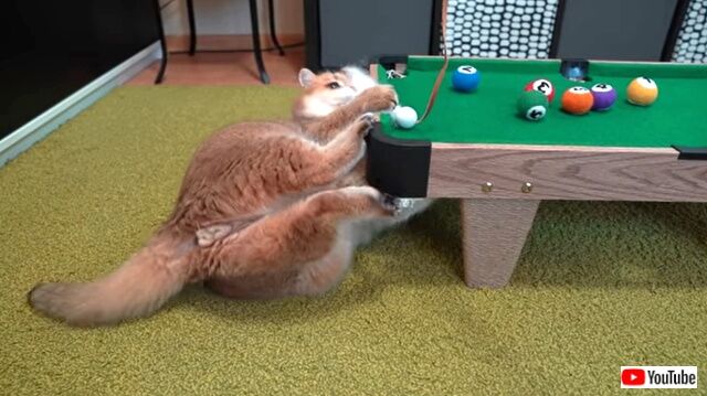 billiards6_640