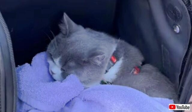 20240310_190007 (7)_batch