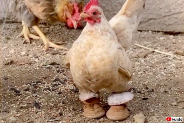 20230513_145013 (7)_batch