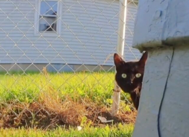 20240207_120205 (6)_batch