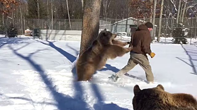 jimnbears3