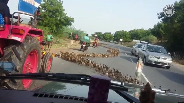 roadblocks16_e