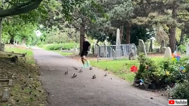 20220529_030826 (3)_batch