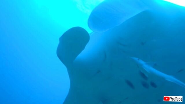 20230916_071233 (3)_batch