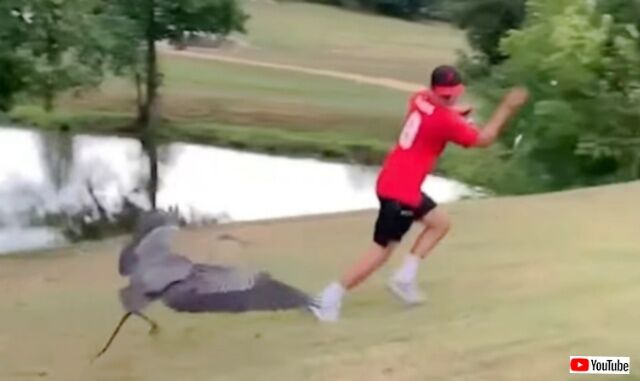 20230831_210349 (2)_batch