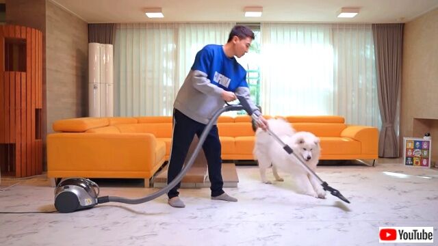 cleaning7_640