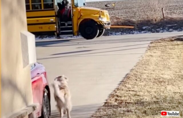 20230316_183320 (2)_batch