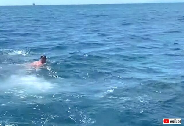 swimwithshark4_640