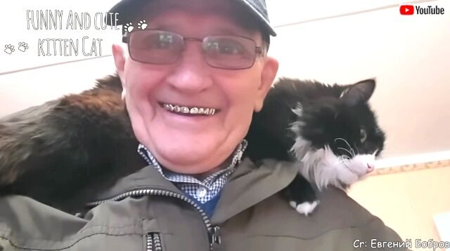 emotionalcats4_640