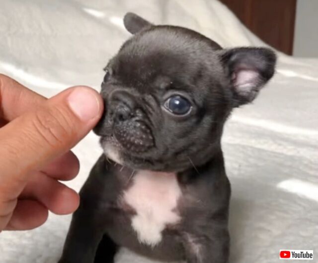 20231211_101555 (4)_batch