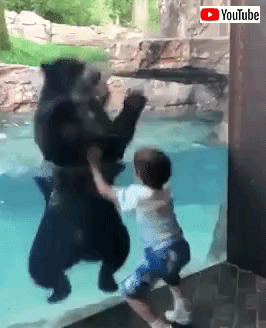 bearjumps