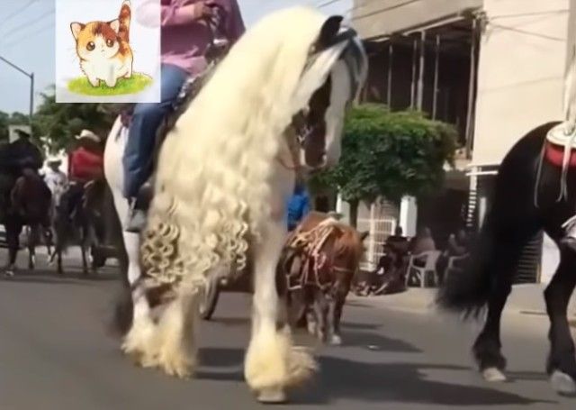 funnyhorses2_e