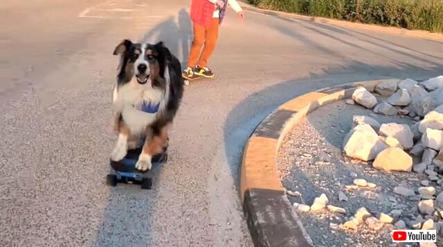 skateboarding5_640