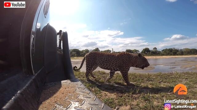 goproinsavannah3_640