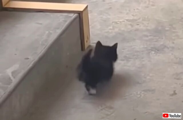 20230802_001309_batch