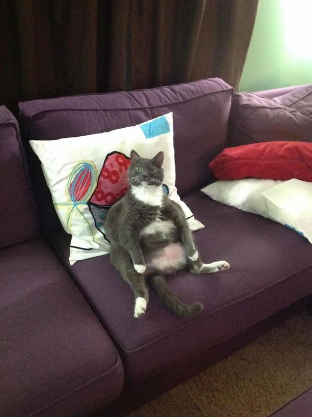 net]