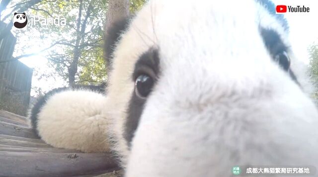 noticeshiddencamera6_640