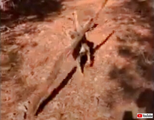 20230110_075109_batch