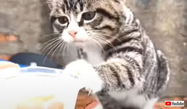 2022-09-23 18 45 04 (2)_640