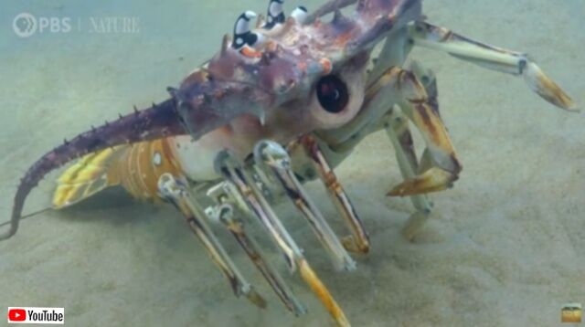 20231129_114839_batch